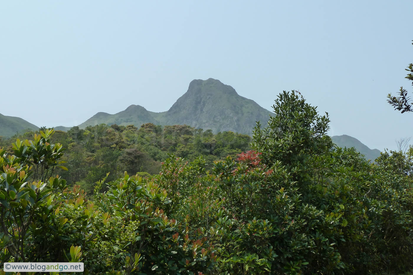 Maclehose Trail 4 - Between M76 and M77